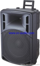Plastic Molded Pa Speaker?