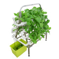 نظام NFT Garden Hydroponic صغير مع 72 فتحة