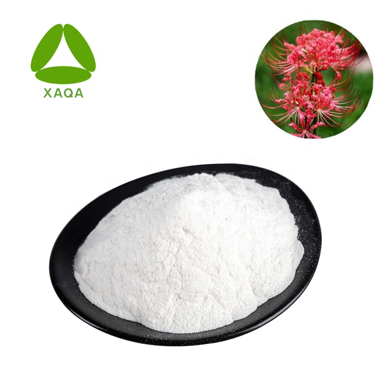 Lycoris Radiata Extrato Galantamine Hydrobromide 98% em pó