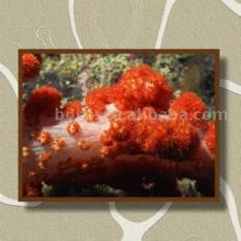 Home Office Plaque Art