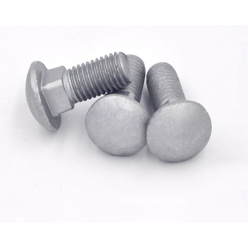 Stainless/Carbon steel Carriage bolts