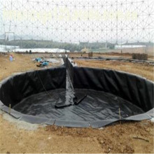 Geomembrane Liner HDPE Film Waterproof Geomembrane