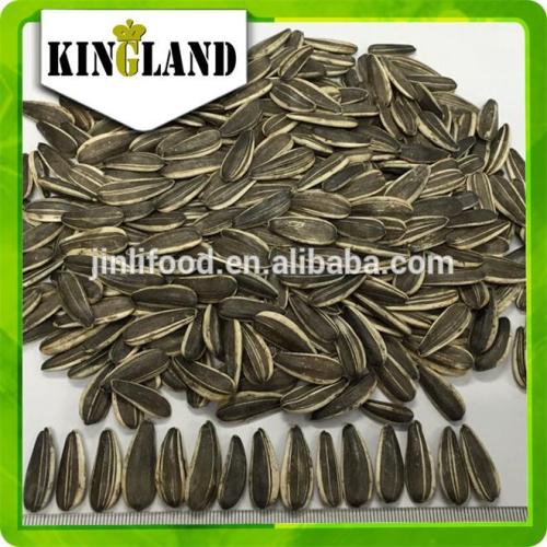 Bulk organic the sunflower seeds