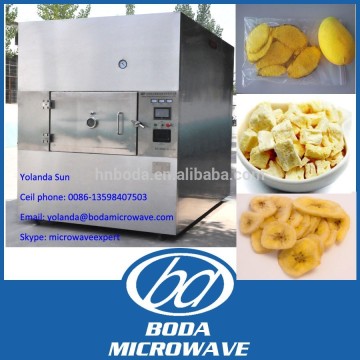 Banana chip microwave vacuum dehydrator