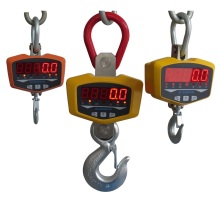 300kg-3t hoist weighing scale