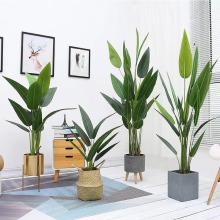 Hot Sale Strelitzia Reginae Artificial Plants in Various Sizes for Home and Office Decoration