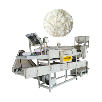 Automatic Rice Noodle Machine: High Quality Pho Noodle Making Machine