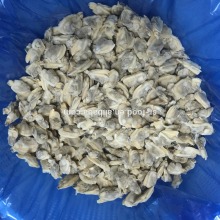 Hot sales IQF Baby clam meat