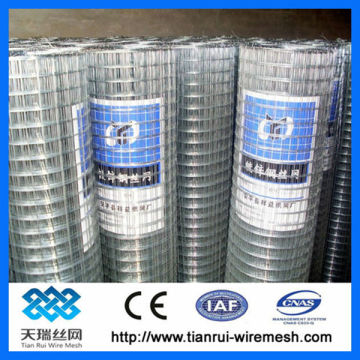 Square hole electro galvanized welded wire mesh (factory)