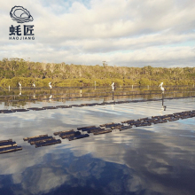 Foam oyster mesh bag Customized oyster farming bag