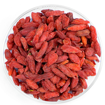 High concentration of nutrients goji berry