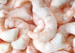 IQF PUD Red Shrimp