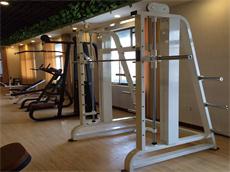 gym equipment