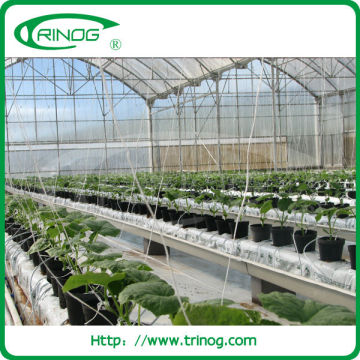 NFT hydroponic greenhouse systems