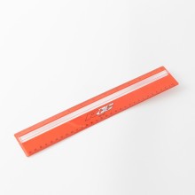 12" Magnifying Ruler