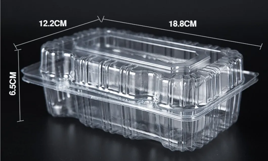 Pet Clear Plastic Compartment Take Away Salad Food Container Tray 6