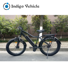 2018 1000 Watts Electric Beach Cruiser Bikes from China