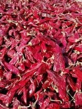 Dry Hong Long 23 Paprika Pods