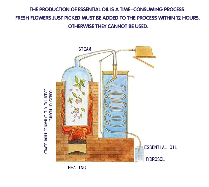 Skin Care Essential Oil Peppermint Humidifier Food Grade Grapefruit Immortelle Lemongrass Sandalwood Sandlewood Synthetic Oils