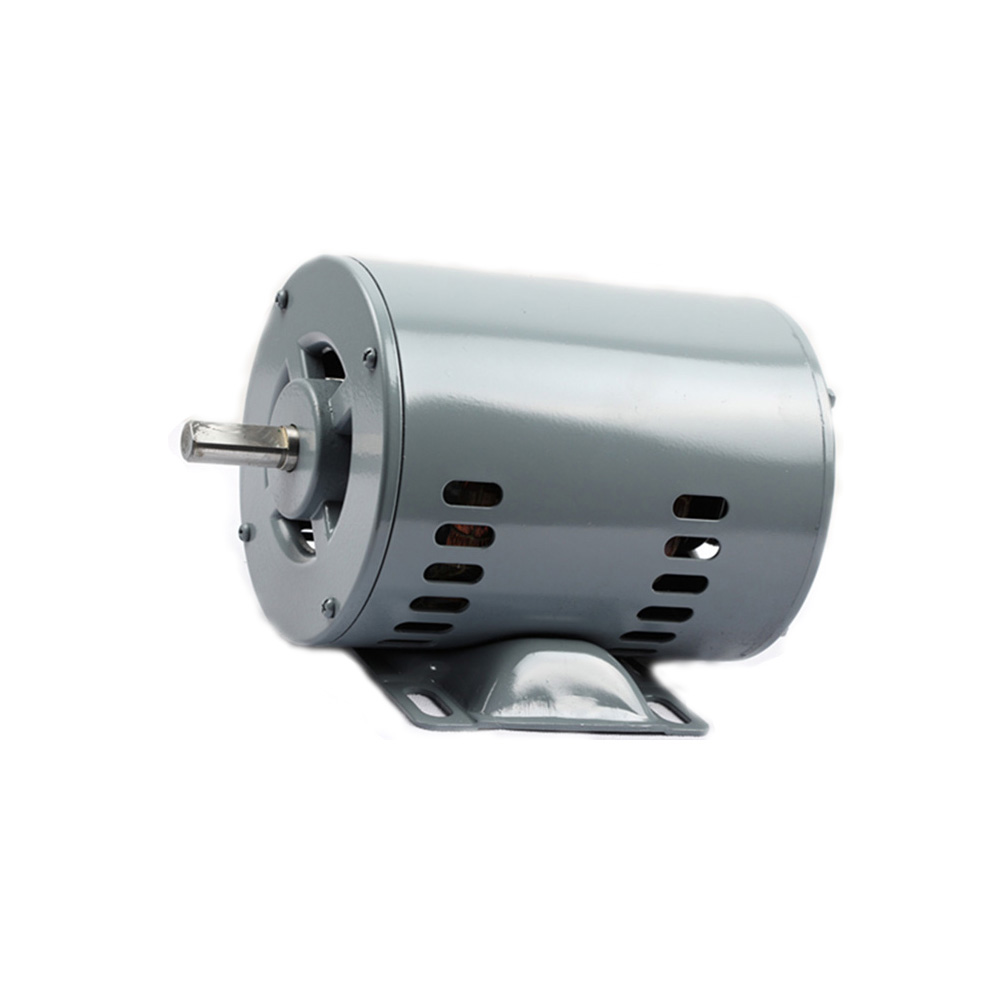 250W Washing Machine AC Motor