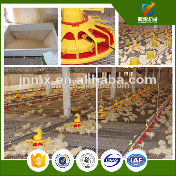 chicken poultry farm construction