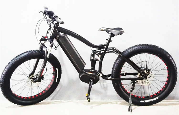 Hot Sell Middle Motor Drive Electric Bicycle 48V MTB Ebike