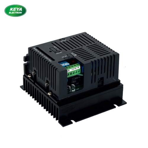 110v reversível 220v escovado controle de velocidade do motor 10A