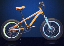 20 Inch Girl?Style Mountain bicycle