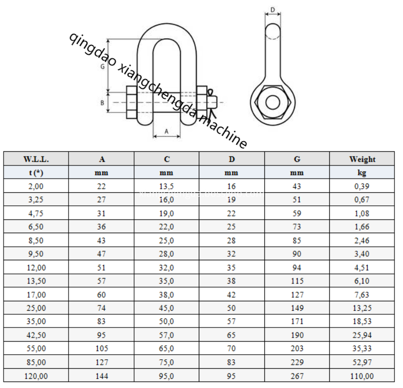 US Forged Shackle