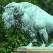 large outdoor sculptures fighting custom bison bronze statues for sale