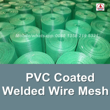 china facotry green color epoxy coated wire mesh