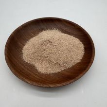 Bio Bacteria for Cleaning Solutions