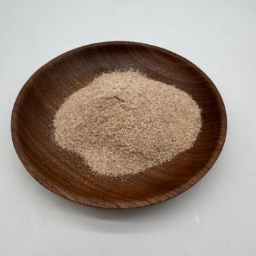 Bio Bacteria for Cleaning Solutions