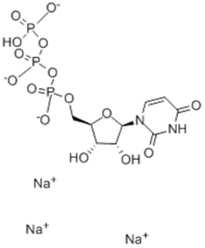 Uridine-5'-triphosphoric acid trisodium salt CAS 19817-92-6
