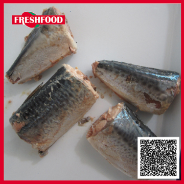 Special Offer 2015 New Canned mackerel Fish In Brine and Tomato Sauce