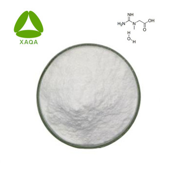 Creatine Monohydrate Powder CAS 6020-87-7