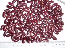 dark red kidney bean