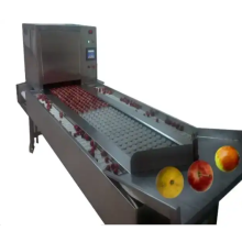 Commercial Cherry Pit Remove Machine: Plum Seed Separator Machine - Price