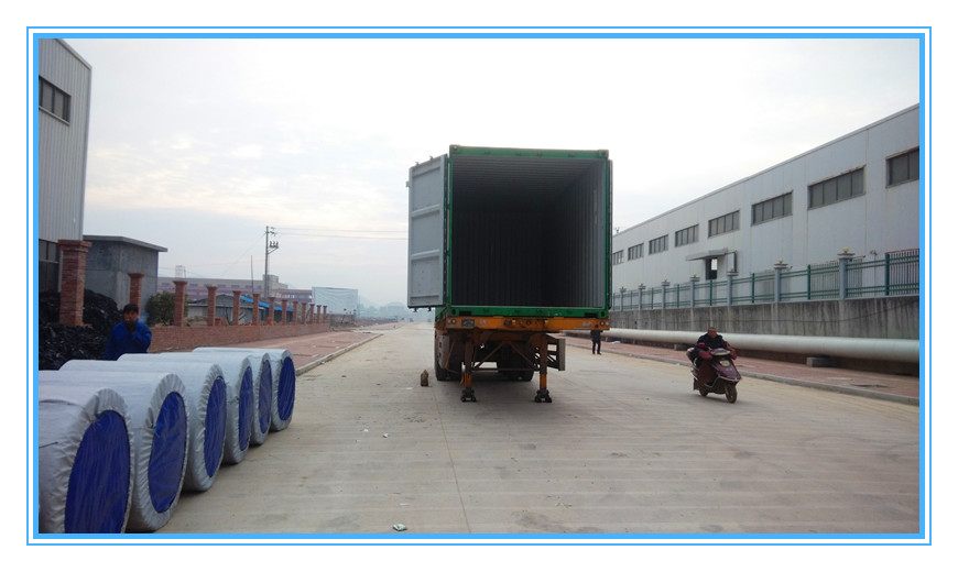 Wholesale Price High Quality Heat Resistant Conveyor Belt