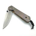 7Cr17MoV Titanium Handle Folding Blade Knife