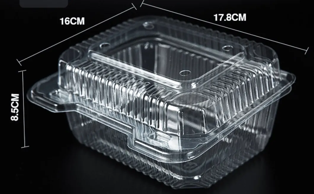 Pet Clear Plastic Compartment Take Away Salad Food Container Tray 6