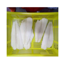 frozen halibut product,frozen fresh arrow tooth flounder detail,grade a frozen flounder