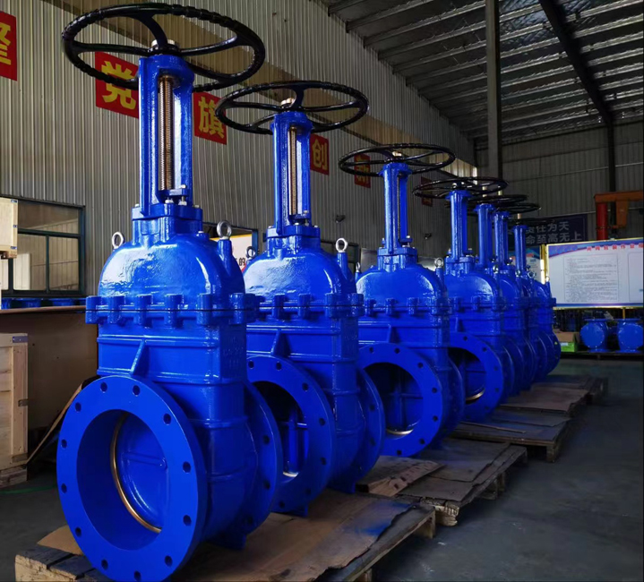 Rsf Metal Seat Iron Os Y Gate Valve Jpg