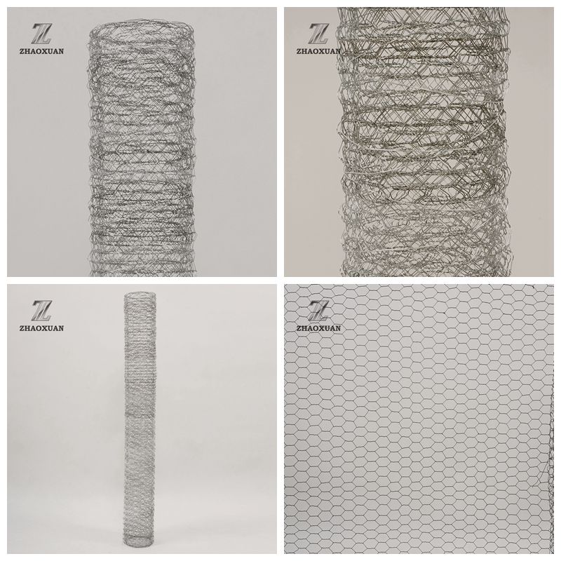 hexagonal wire mesh