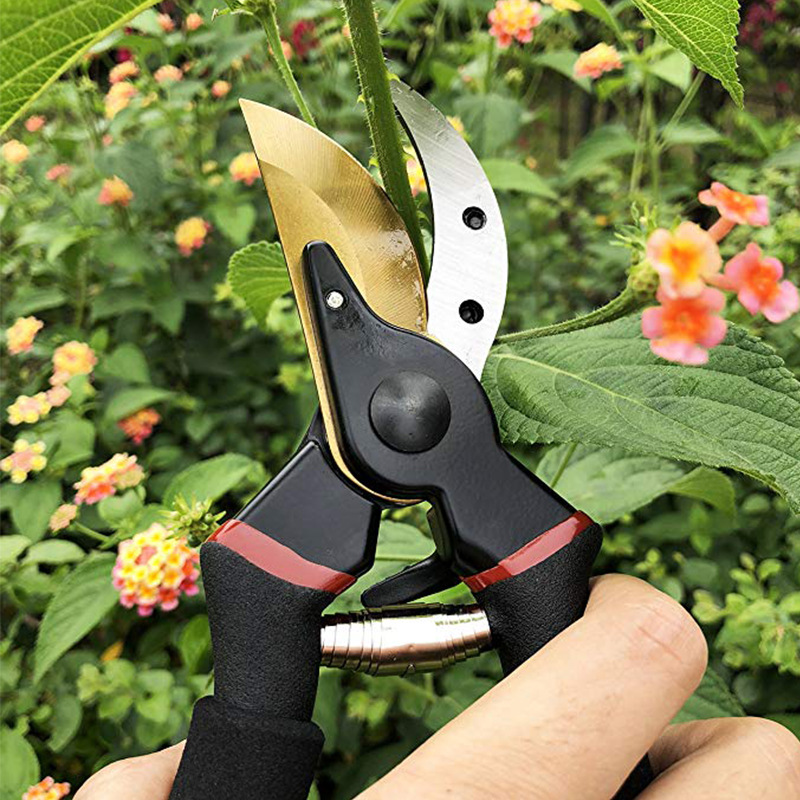 Ciseaux de jardinage à tête de lame incurvée sécateur de jardin cisailles à branches antidérapantes économisant du travail ciseaux de bonne qualité