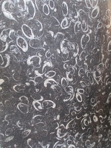 China Cheap Black Marble Fossil Black Marble