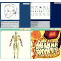 penganalisis kesehatan tubuh kuantum bio-resonator 3d nls inovatif