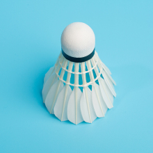 TCX999 Shuttlecock: Durable Goose Feather Badminton Shuttlecock for Professional Training
