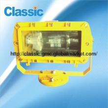 IP65 2-120w Aluminium PC COB Outdoor 100W LED Explosion-proof Light