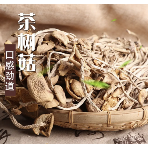 Dried Agrocybe aegerita tea tree mushroom natural agrocybe